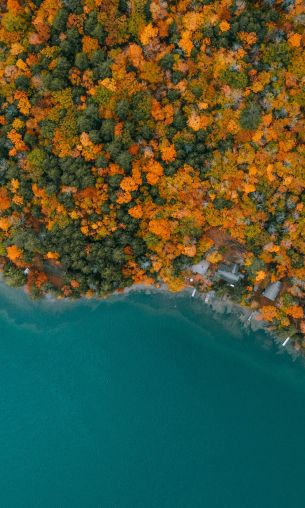 New Hampshire, USA Wallpaper 1200x2000