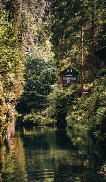 house in the woods Wallpaper 600x1024