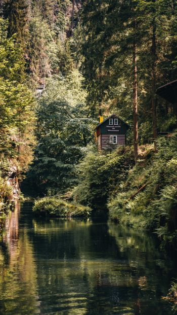 house in the woods Wallpaper 640x1136