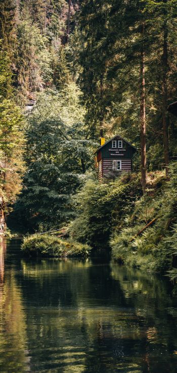 house in the woods Wallpaper 1440x3040