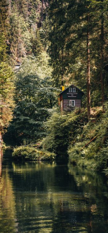 house in the woods Wallpaper 1170x2532