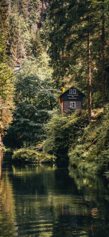 house in the woods Wallpaper 1080x2340
