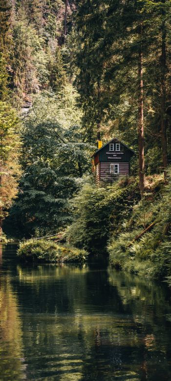 house in the woods Wallpaper 1080x2400