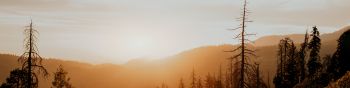 Sequoia National Forest, California, USA Wallpaper 1590x400