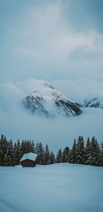 snow mountain, house Wallpaper 1440x2960