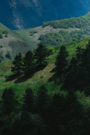 Обои 4000x6000 зеленые горы, Россия
