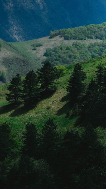 green mountains, Russia Wallpaper 640x1136