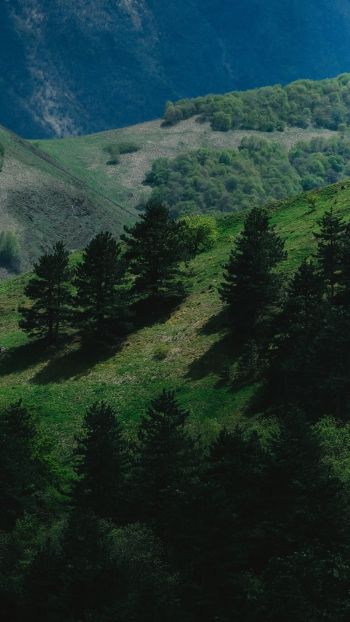 green mountains, Russia Wallpaper 720x1280
