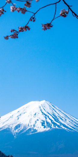 Fujiyama, volcano, Japan Wallpaper 720x1440