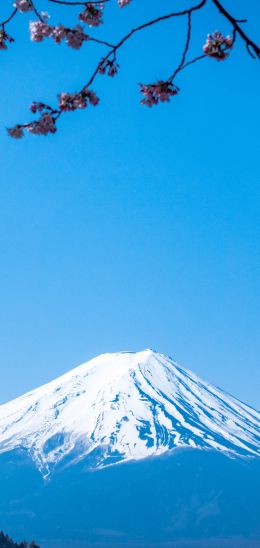 Fujiyama, volcano, Japan Wallpaper 1440x3040