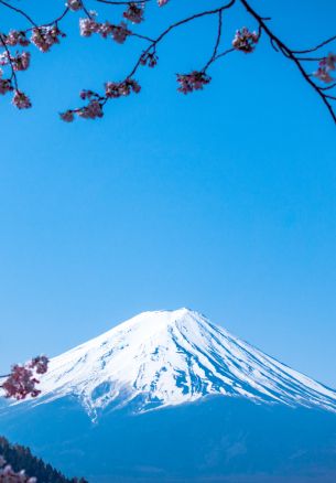 Fujiyama, volcano, Japan Wallpaper 1640x2360