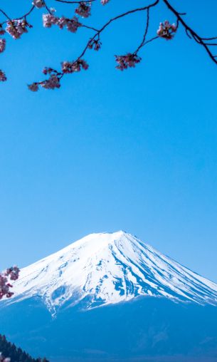 Fujiyama, volcano, Japan Wallpaper 1200x2000