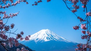 Fujiyama, volcano, Japan Wallpaper 2560x1440