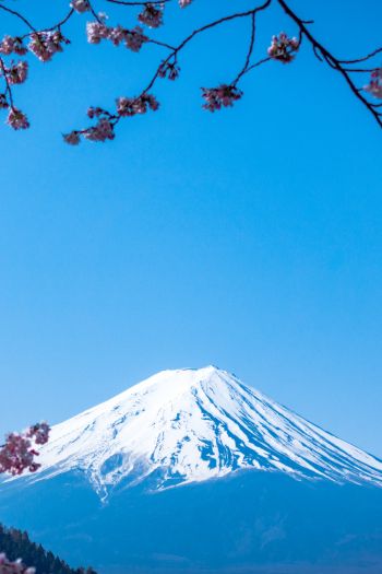 Fujiyama, volcano, Japan Wallpaper 640x960