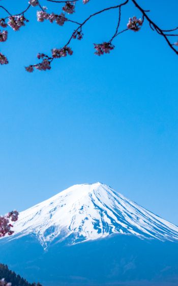 Fujiyama, volcano, Japan Wallpaper 800x1280