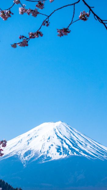 Обои 640x1136 Фудзияма, вулкан, Япония
