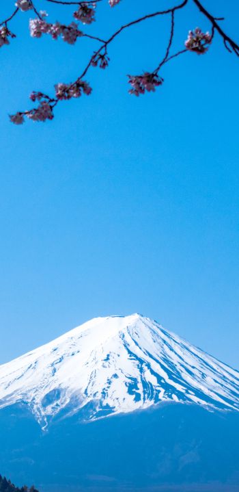 Fujiyama, volcano, Japan Wallpaper 1080x2220
