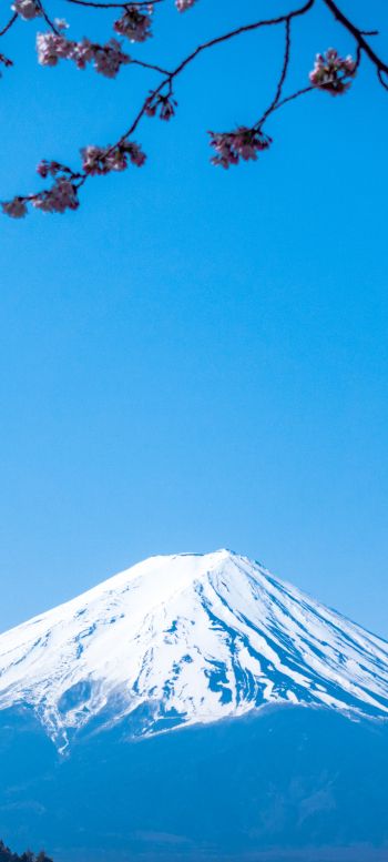 Обои 1440x3200 Фудзияма, вулкан, Япония