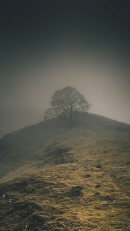 Baslow Road, Bakuell, Great Britain Wallpaper 640x1136