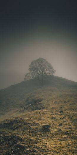 Baslow Road, Bakuell, Great Britain Wallpaper 720x1440