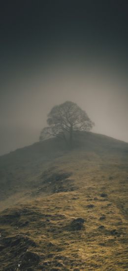 Baslow Road, Bakuell, Great Britain Wallpaper 1440x3040