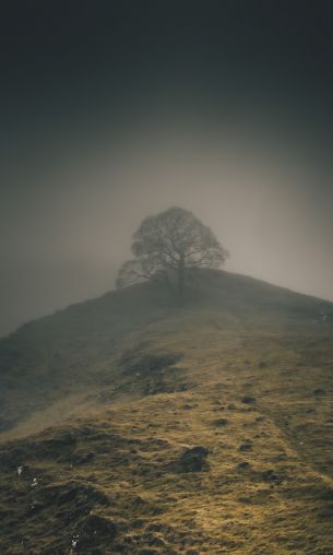 Baslow Road, Bakuell, Great Britain Wallpaper 1200x2000