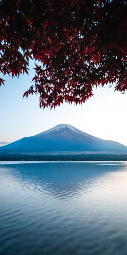 Fujiyama, volcano, Japan Wallpaper 720x1440