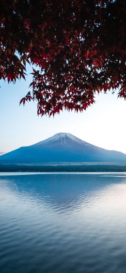 Fujiyama, volcano, Japan Wallpaper 1170x2532