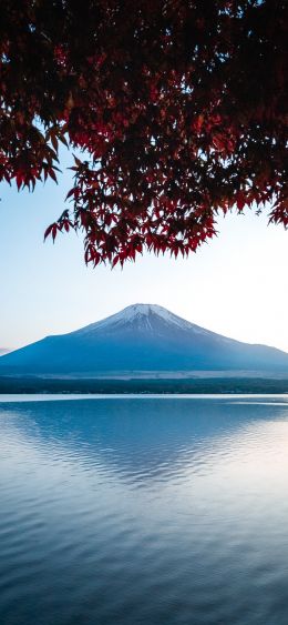 Fujiyama, volcano, Japan Wallpaper 1080x2340