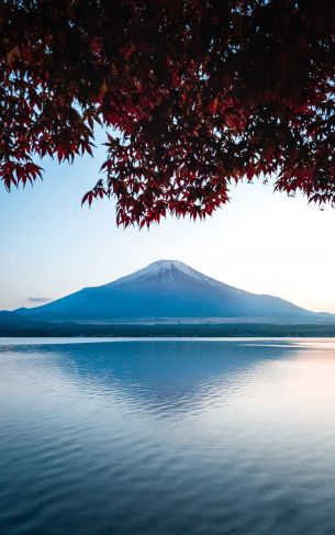 Fujiyama, volcano, Japan Wallpaper 1752x2800