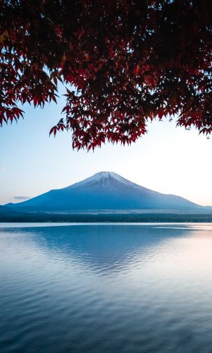 Fujiyama, volcano, Japan Wallpaper 1200x2000