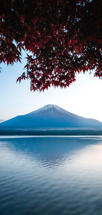 Fujiyama, volcano, Japan Wallpaper 720x1520