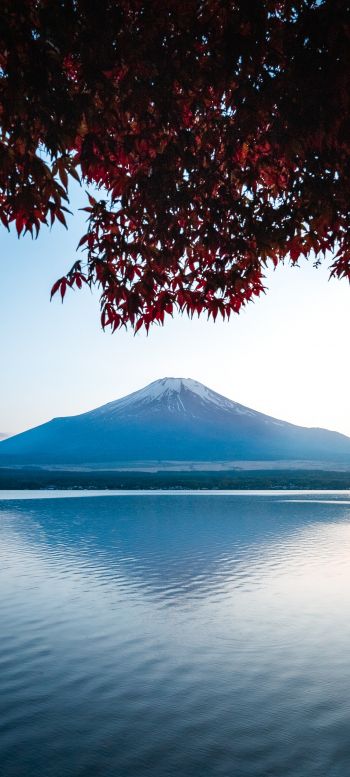Fujiyama, volcano, Japan Wallpaper 1440x3200