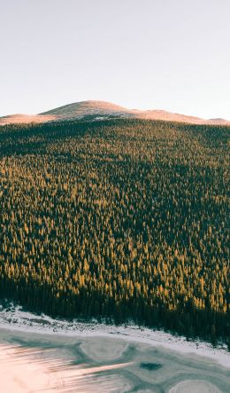 Denver, Colorado Wallpaper 600x1024