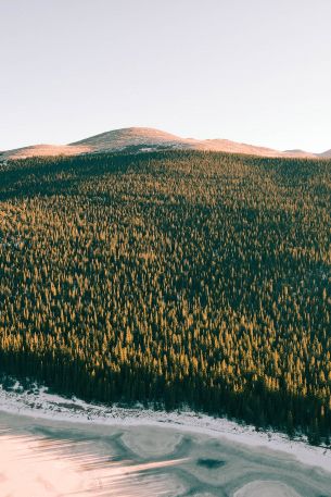 Denver, Colorado Wallpaper 640x960