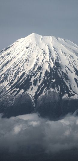 Fujiyama, volcano, Japan Wallpaper 1080x2220