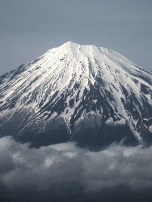 Fujiyama, volcano, Japan Wallpaper 1620x2160