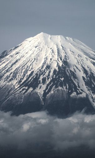 Fujiyama, volcano, Japan Wallpaper 1200x2000