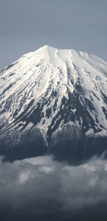 Fujiyama, volcano, Japan Wallpaper 1440x2960