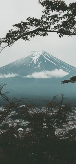 Fujiyama, volcano, Japan Wallpaper 1080x2340