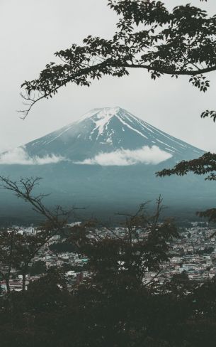 Fujiyama, volcano, Japan Wallpaper 800x1280