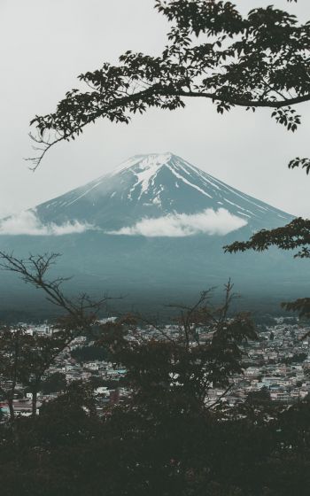 Fujiyama, volcano, Japan Wallpaper 1600x2560