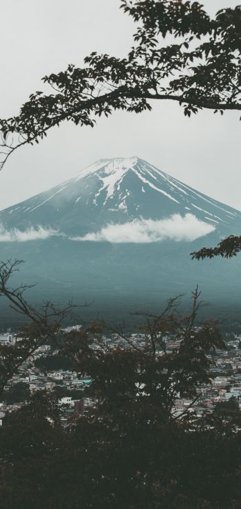 Fujiyama, volcano, Japan Wallpaper 1080x2280