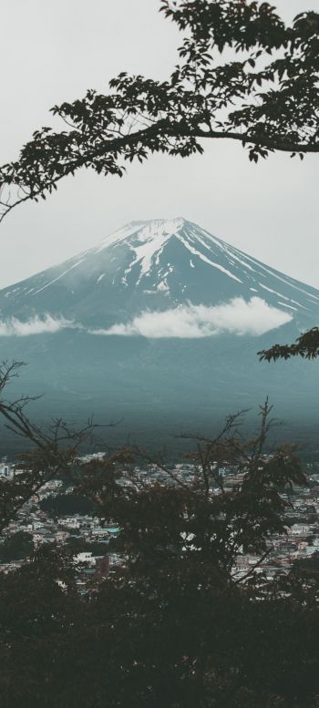 Fujiyama, volcano, Japan Wallpaper 1080x2400