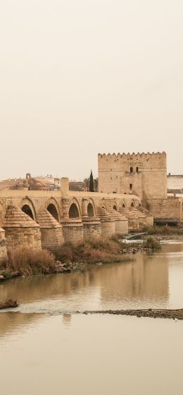 Roman bridge, Cordoba, Spain Wallpaper 828x1792