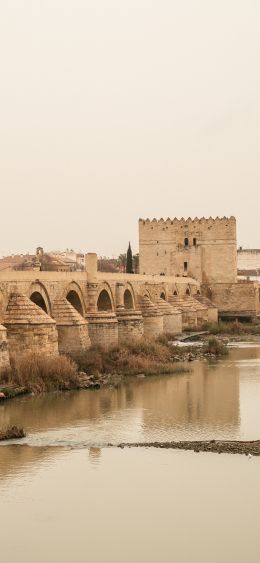 Roman bridge, Cordoba, Spain Wallpaper 1080x2340