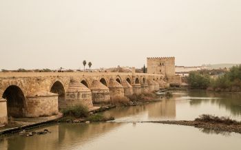 Roman bridge, Cordoba, Spain Wallpaper 2560x1600