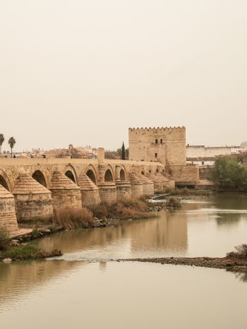 Обои 1668x2224 Римский мост, Кордова, Испания