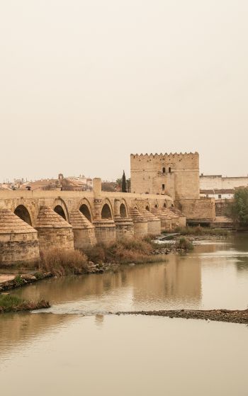 Roman bridge, Cordoba, Spain Wallpaper 1752x2800