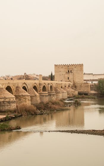 Roman bridge, Cordoba, Spain Wallpaper 800x1280
